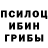 Псилоцибиновые грибы мицелий Venya V