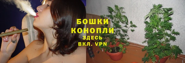 Альфа ПВП Инсар