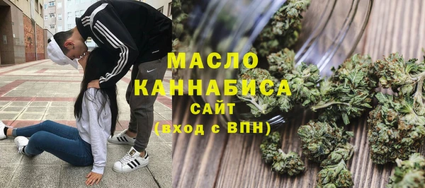 Альфа ПВП Инсар