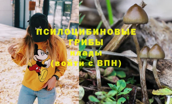 Альфа ПВП Инсар