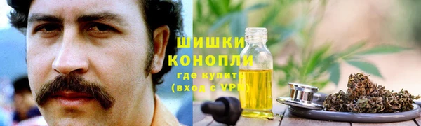 Альфа ПВП Инсар