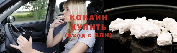 Альфа ПВП Инсар
