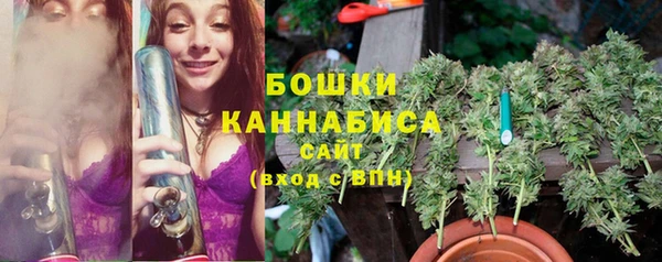 эйфоретик Иннополис