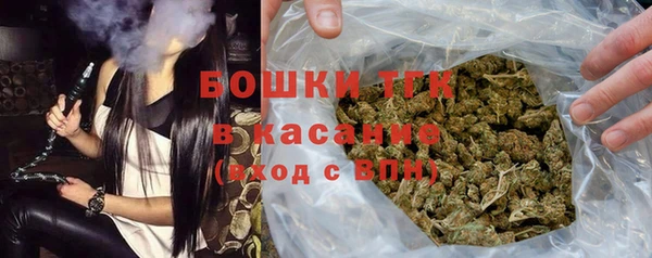 ешки Инта