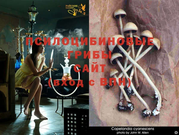 ешки Инта