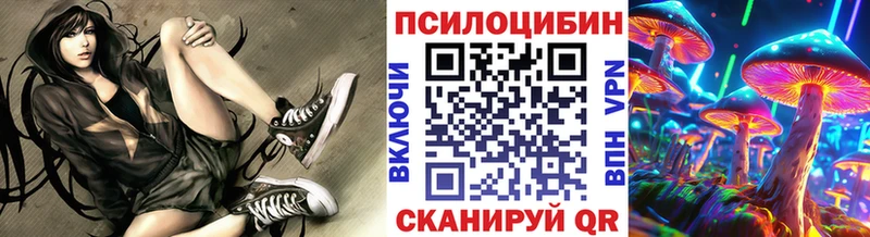 Псилоцибиновые грибы мицелий  Купить закладки  Кудрово 